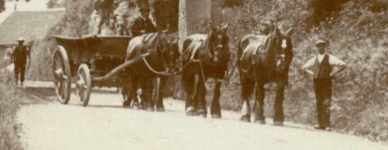 Horse and cart at Goodrich