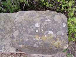 The top of beauchamp Mile Marker