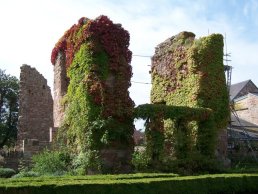 Wilton Castle buildings (9-9-06)