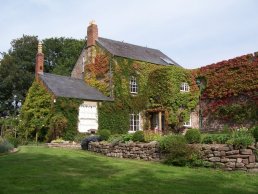 The house in Wilton Castle (9-9-06)