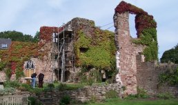 Wilton Castle ruins (9-9-06)