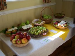 A basket of apples competition