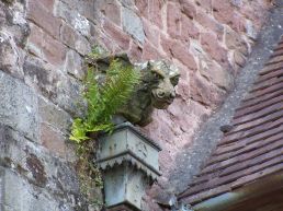 Ross Church Gargoyle