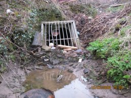 The Broadmeadows end of the old culvert (10-03-08)