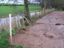 The spillway bank (19-01-08)