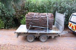 A log on the trailer (17-10-08)