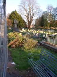 Some of the cleared vegetation (18-4-08)