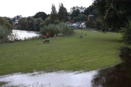 The river has receded (10-09-08)