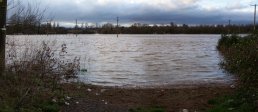 The football pitches between the Boat House and Homs Road (11-01-07)