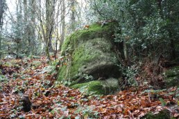 Quartz Conglomerate on Chase Hill