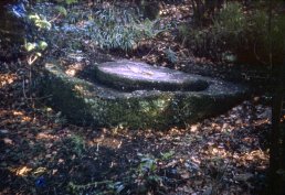 The base of a Cider Press