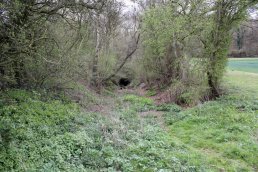 The start of the cutting on the north end of Ballingham Railway Tunnel (09-04-12)