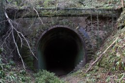 The north end tunnel mouth of Ballingham Rail Tunnel (09-04-12)