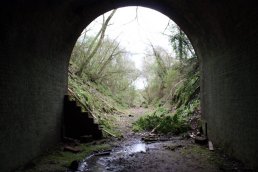 Looking out of the north end tunnel mouth (09-04-12)