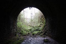 Looking out of the south end tunnel mouth (09-04-12)