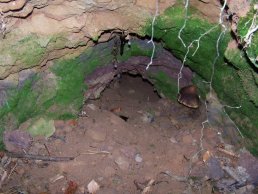 Inside the mica or silver mine (28-9-06)