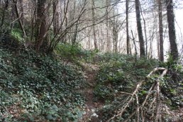 The old path from the pleasant stile over Penyard Hill (14-3-09)