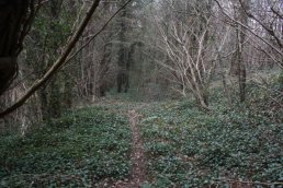 The old path from the pleasant stile (14-3-09)