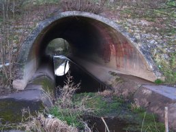 Ross Bypass Flood Arch (09-03-08)