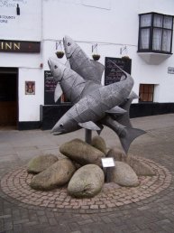 Salmon of the Wye, Ross