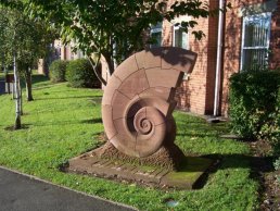 The Snail, Ross