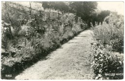 Valley Hotel Garden path