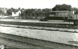 Ross Goods yard animal pens