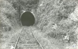 Symonds Yat tunnel mouth