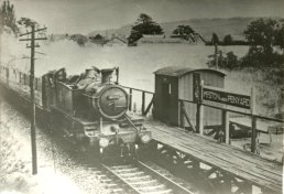4161 in Weston-under-Penyard station