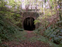 The Lea Line tunnel (29-10-06)