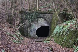 The north end of Coppet Tunnel (03-01-2011)