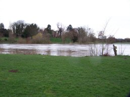 The river Wye in flood (28-3-06)
