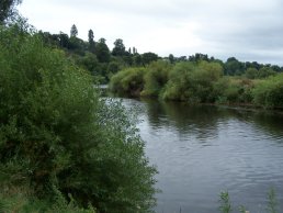 The River Ross-on-Wye