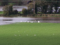 The Wye in flood Ross-on-Wye (7-11-05)