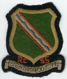 Ross County Secondary School badge (9-3-06)