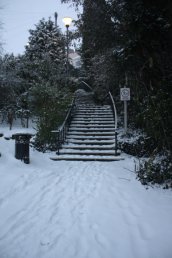 Snow in the Blake Memorial Garden