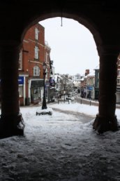 The Phoenix in the snow