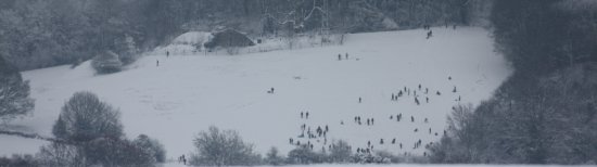 Sledging in Tank Meadow