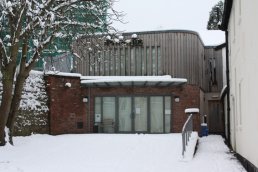 The Phoenix in the snow