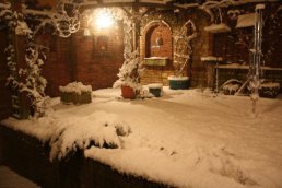 The snow in the garden