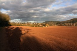 The sky, Ross and the field