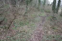 The site of Merrivale Tank (14-03-09)