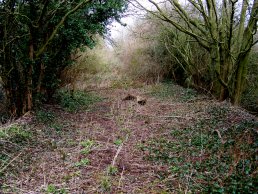 The Ross to Gloucester Line (26-3-06)