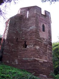 The north west tower in Wilton Castle (9-9-06)