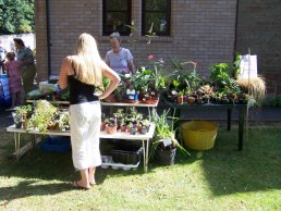 The plant stall