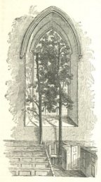 Trees in the pew