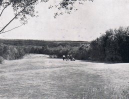 The seventh fairway in 1966