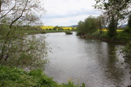 River Wye at Backney Bridge (9-5-10)