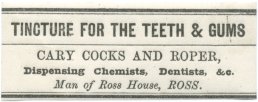 Tincture for the Teeth and Gums