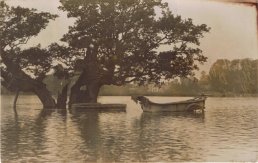 Oak Meadow in flood (1912)